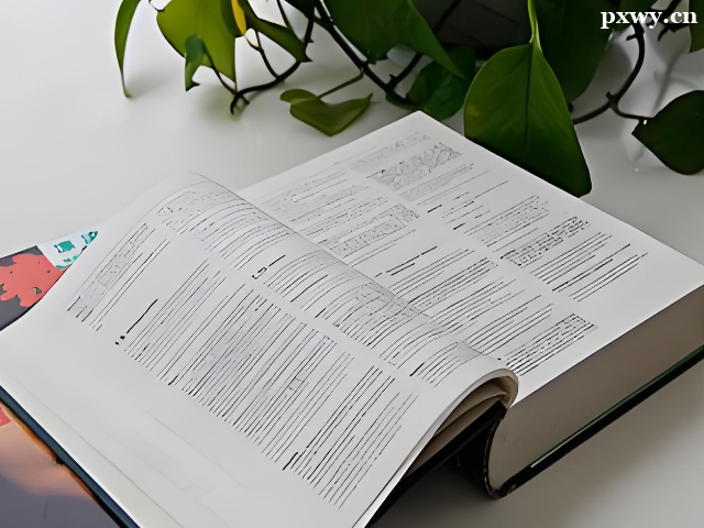 ������˼��ѵ����������