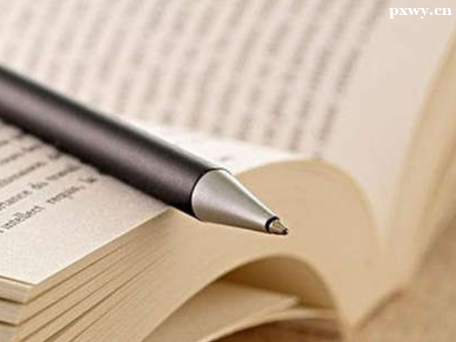 ��˼��ѵ������������������