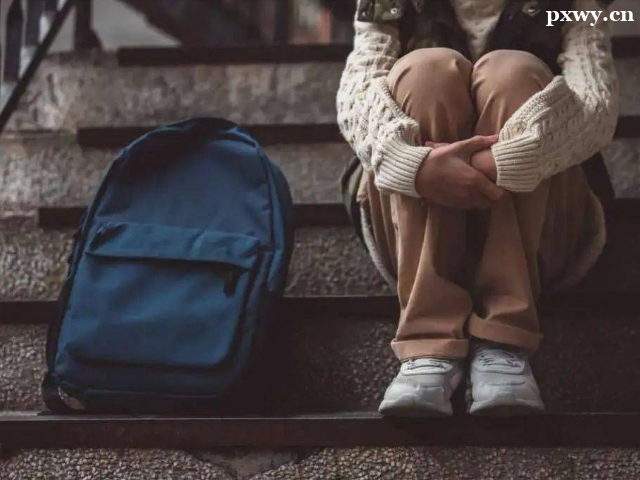 ����������ѯʦ֤����ʲô��