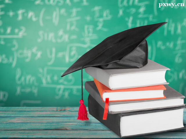 2024�ӱ����˸߿���������Ҫ��