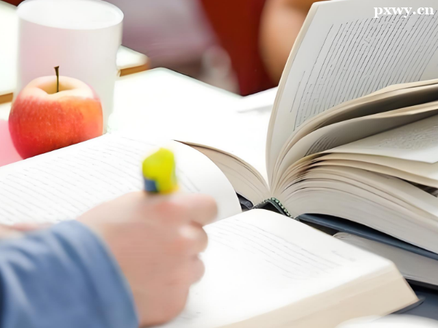 ������ѵ��ôѡ����