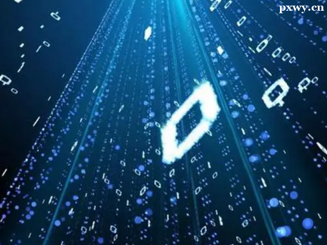 ѧIT��ѵ�������