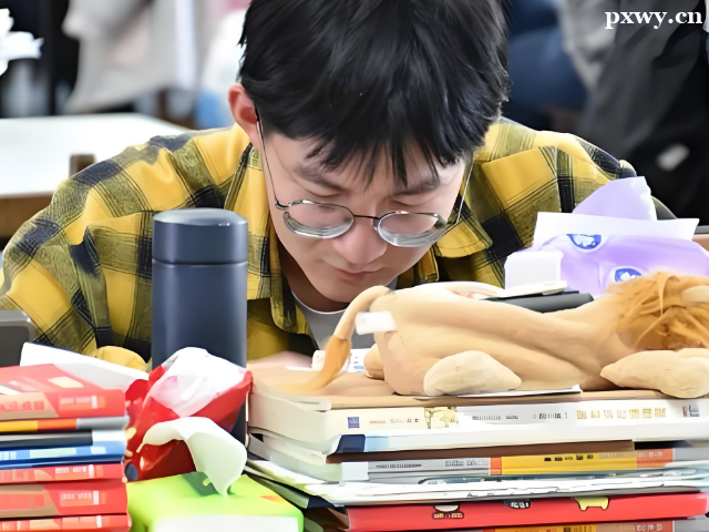 ������ѵ��ôѡ�����ȽϺ�