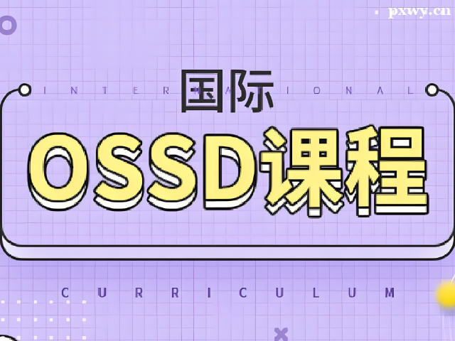 ���ʿγ�OSSD���ܣ��������ʽ���֮��