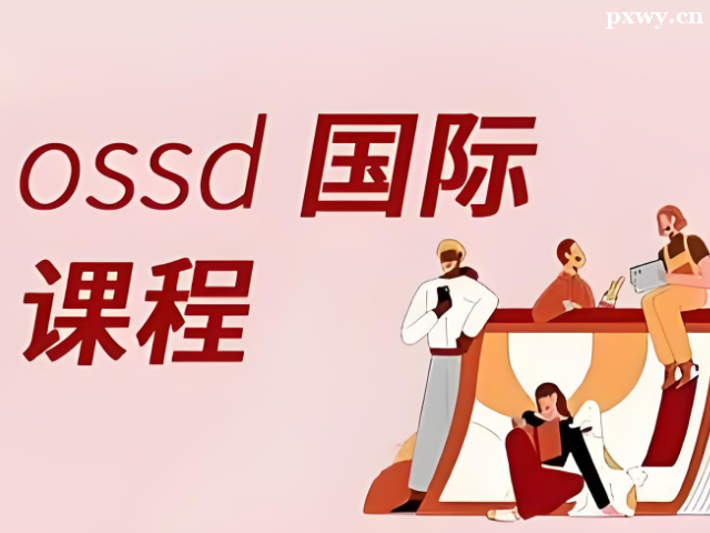 ���ʿγ�OSSD���ܣ��������ʽ���֮��