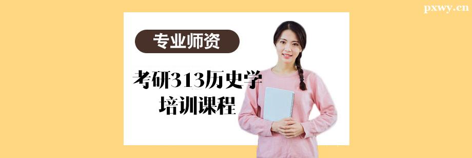 ����313��ʷѧ��ѵ�γ�
