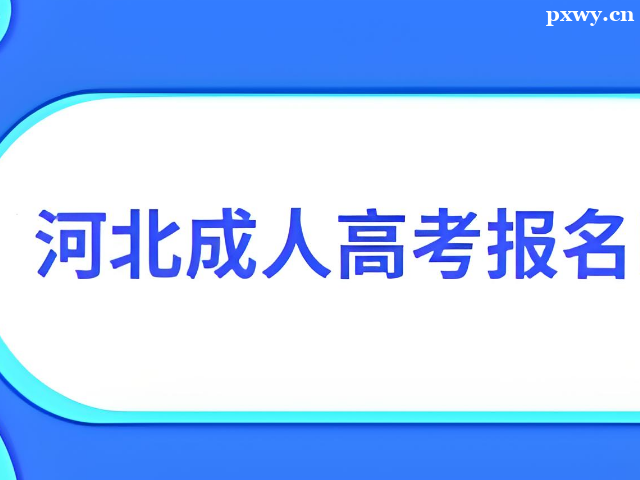 2024��ӱ����˸߿�����ʱ���Ƕ���