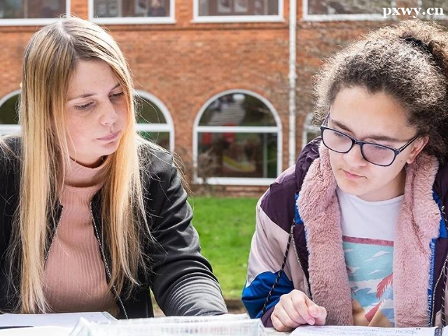 ib�γ���ѵ���������ɿ���