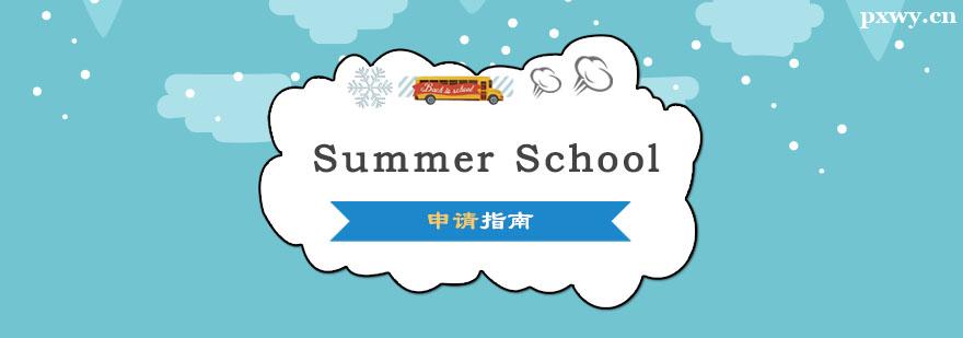 SummerSchool����ָ��
