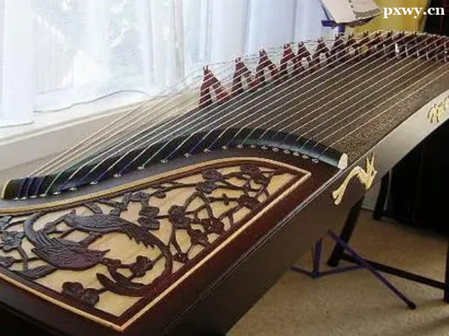 �ŵ�����ѧʲô�ȽϺ�