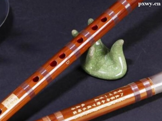 �ŵ�����ѧʲô�ȽϺ�