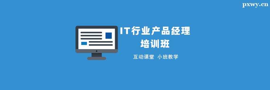 IT��ҵ��Ʒ������ѵ��