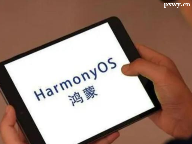 ���ɿ�������ʦ����ʲô��