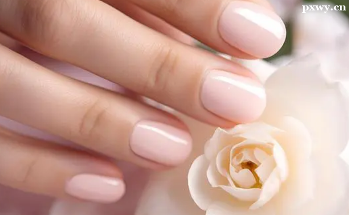 ���������ѧ���������