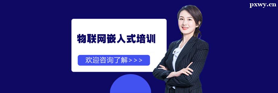 ������Ƕ��ʽ��ѵ��