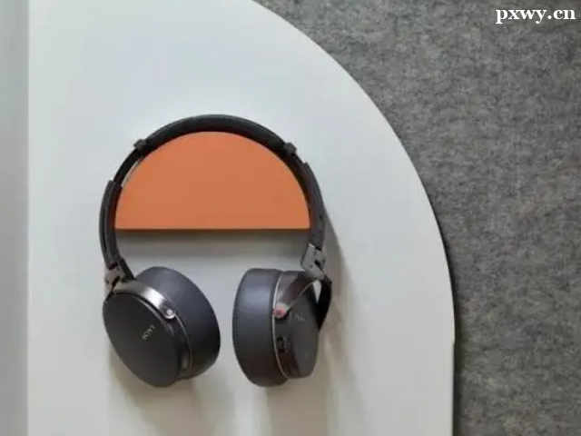 С�и���PET�ĸ���������