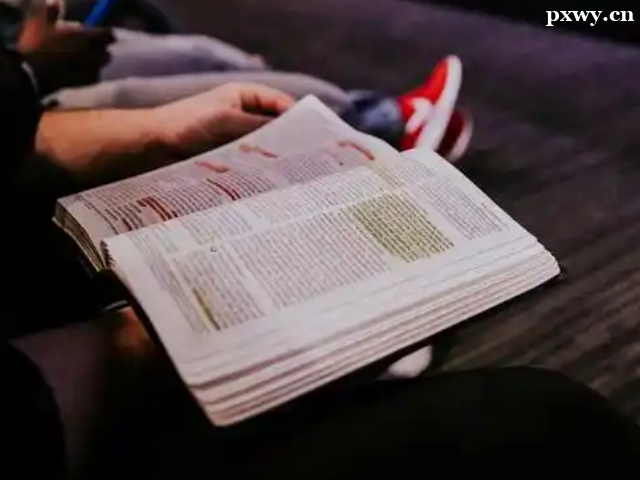 ʯ��ׯ�и�������۸�߲���