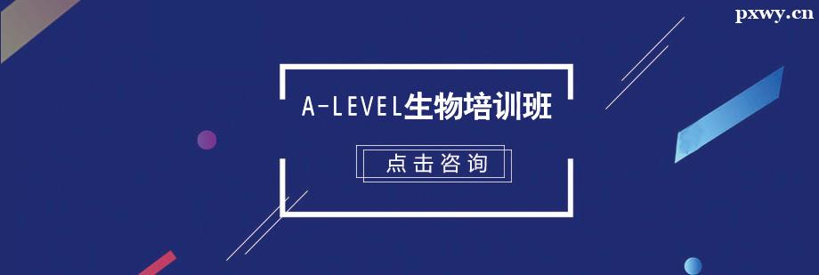 A-Level������ѵ��