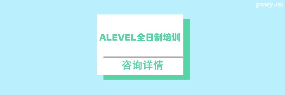 ALevelȫ������ѵ��