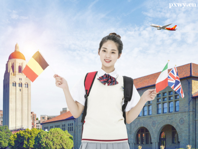 ����Alevel�γ̸����ļҺ�