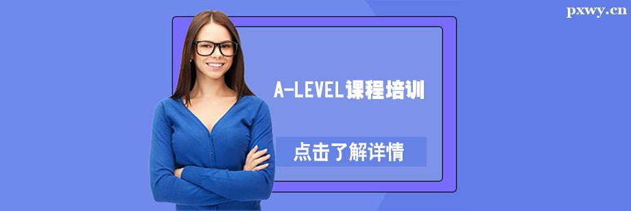 A-Level�γ���ѵ��