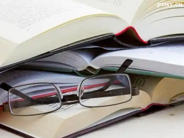 PMP����ȥ���ﱨ��