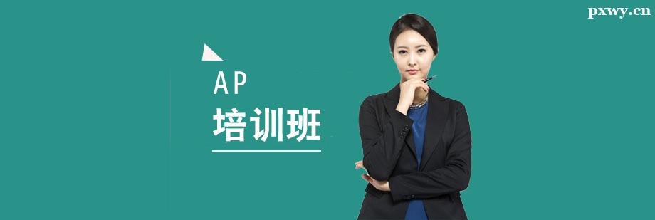 AP��ѵ��