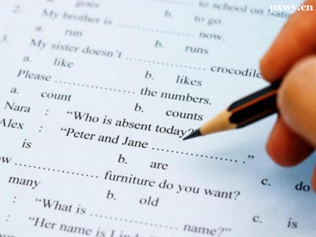 ���SAT��ѵ�������