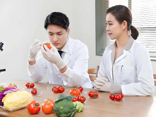 公共营养师报名需要什么条件