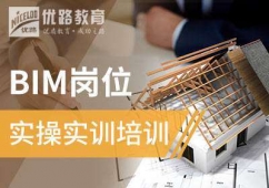 BIM��λʵ����ѵ