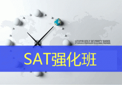 �ʸ�SAT�ٴ���������