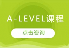 A-levelγ
