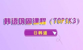 ̨﹮̿γ̣TOPIK3