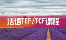 TEF/TCFγ--γ