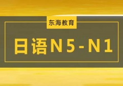 N5-N1߼γѵ