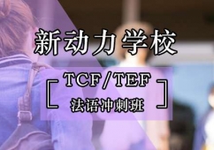 TCF/TEFѵ