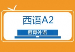A2ѵ