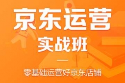 惠州京东运营实战培训班