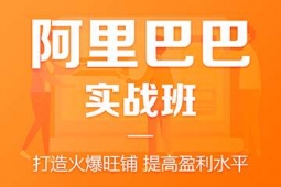 惠州阿里巴巴实战培训班