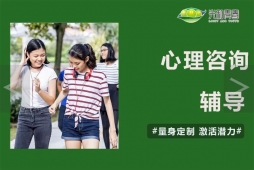 心理咨询辅导