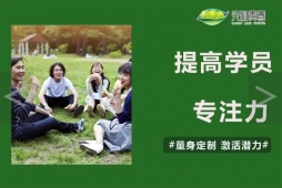 提高专注力培训课