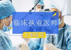 北京临床执业医师培训班