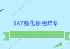 SATǿγѵ