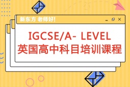 IGCSE/A- LEVELӢпĿѵγ