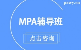 MPAγ