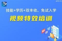 ̫ԭ��Ƶ��Ч��ѵ��