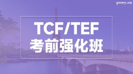 TCF/TEFǰǿ